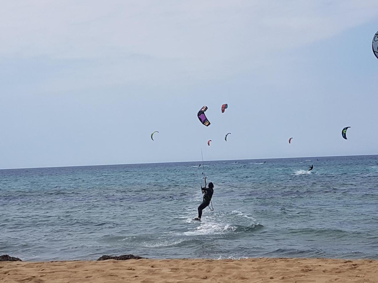 الشقق الفندقية ترابانيفي  Brezza Di Grecale المظهر الخارجي الصورة